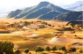 沉淀自己的三種方式