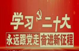 二十大報(bào)告金句